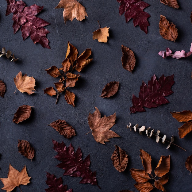 Autumn fall thanksgiving day composition with decorative dried leaves