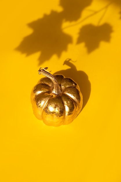 Autumn fall thanksgiving day composition with decorative golden pumpkin and maple leaf shadow