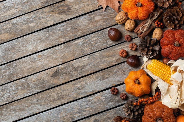 Autumn fall thanksgiving day composition with decorative pumpkins