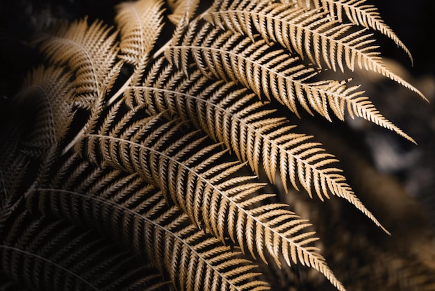 Autumn fern leaves background. Concept of autumn