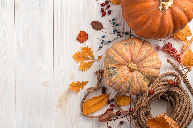 Autumn festive background with pumpkins berries and foliage on a white wooden background