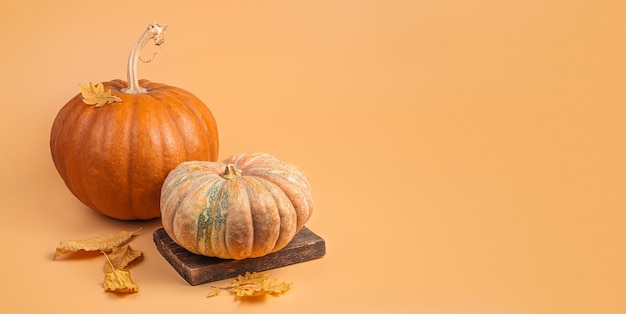 Autumn festive decor of pumpkins and foliage on an orange background