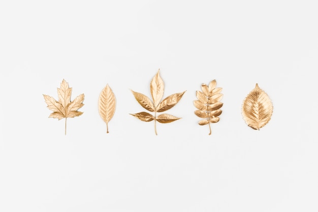 Autumn flat lay. Autumn golden leaves on white