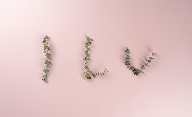 Autumn flat lay background with l love you text on pink background