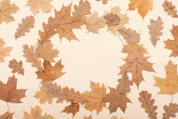 Autumn flat lay composition. Autumn, fall, thanksgiving day background. Autumn season concept. Flatlay, top view