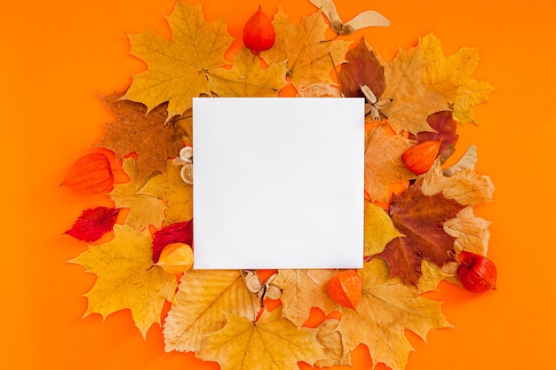 Autumn flat lay composition with blank note and dry leaves on bold orange