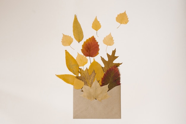 Autumn flat lay. Craft envelope with autumn fallen leaves on a light background