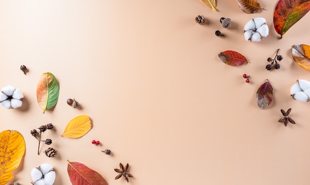 Autumn flat lay decor from dry leaves, cotton flowers with copy space