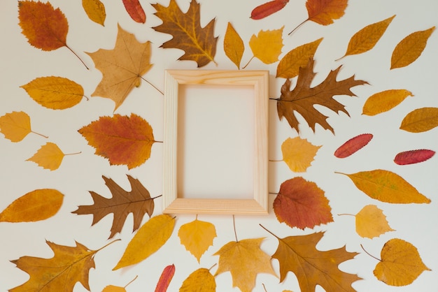 Autumn flat lay with copy space. A lot of autumn leaves and a wooden empty frame