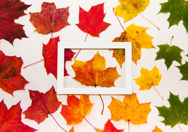 Autumn flat view on a white background