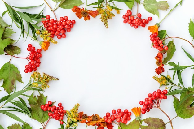 Autumn floral composition frame made of viburnum berries isolated on white background autumn fall