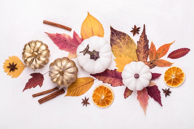 Autumn floral composition of golden pumpkins spices and leaves