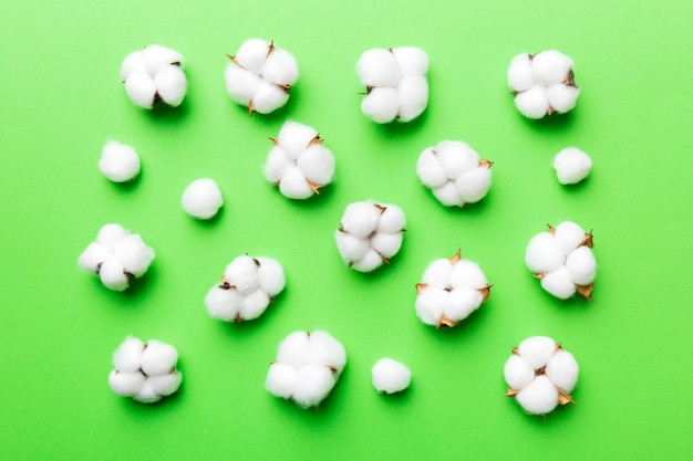 Autumn Floral Flat lay background composition. Dried white fluffy cotton flower branchwith green leaf top view on colored table with copy space