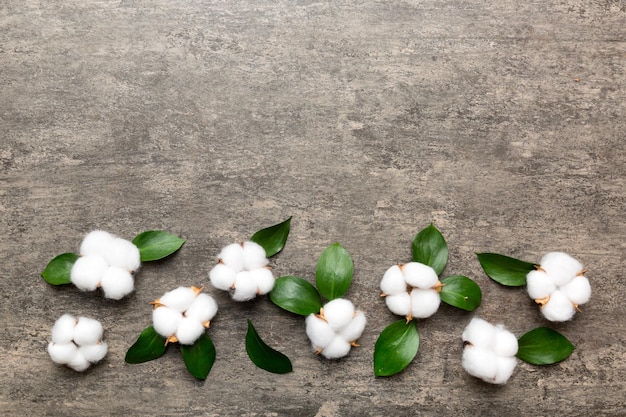 Autumn Floral Flat lay background composition Dried white fluffy cotton flower branchwith green leaf top view on colored table with copy space