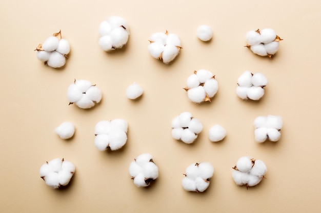 Autumn Floral Flat lay background composition Dried white fluffy cotton flower branchwith green leaf top view on colored table with copy space