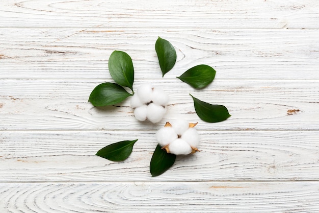 Autumn Floral Flat lay background composition Dried white fluffy cotton flower branchwith green leaf top view on colored table with copy space