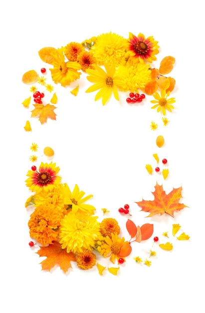 Autumn flowers and leaves isolated on white background