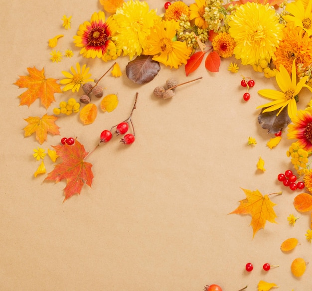 Autumn flowers and leaves on paper background