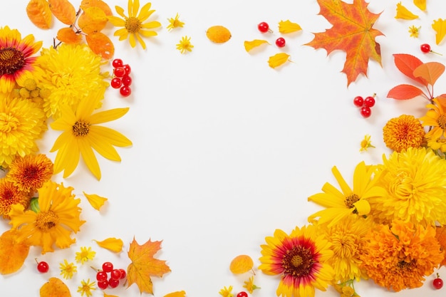 Autumn flowers and leaves on white paper background