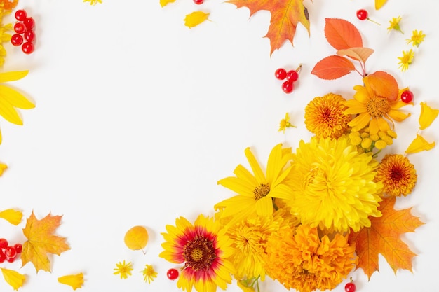 Autumn flowers and leaves on white paper background