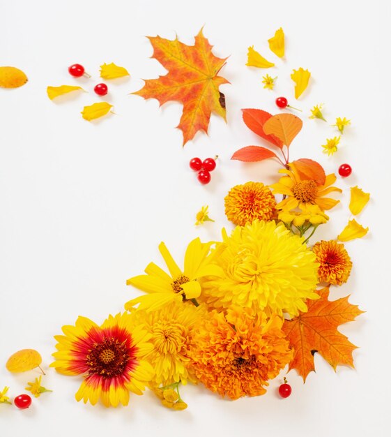 autumn flowers and leaves on white paper background