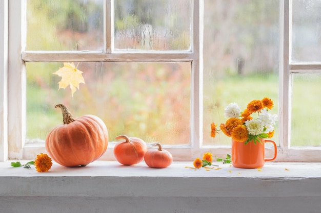 Autumn flowers and pumpkins on old white windowsill