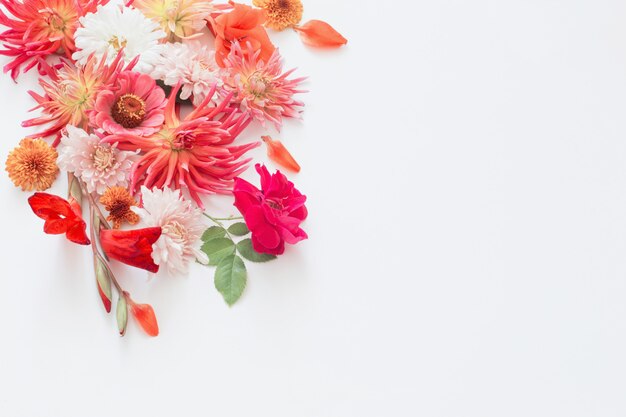 Autumn flowers on white wall