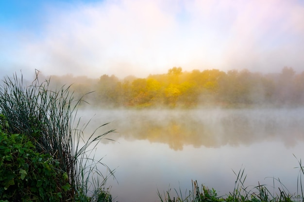 Autumn fog over the river and forest with yellow leaves.