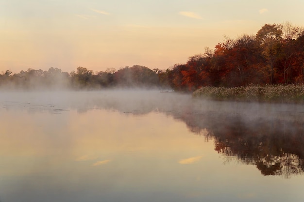 Autumn fog river yellow leaves Fog over river in forest in the autumn