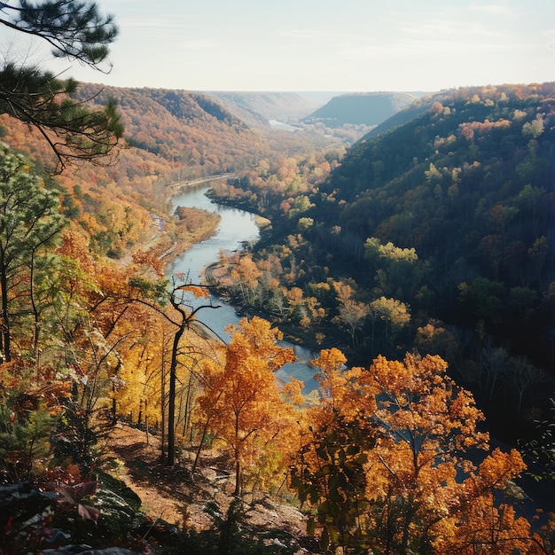 Photo autumn foliage on a clifftop overlooking a winding river in a valley