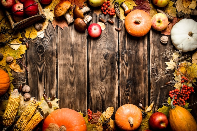 Autumn food Frame of autumn vegetables and fruits on wooden background