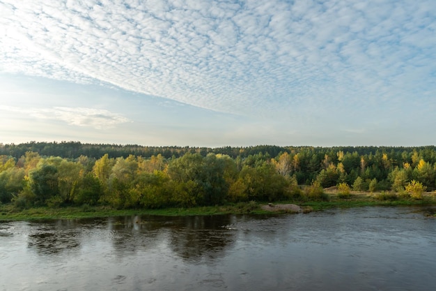 Autumn forest along the river and lake The setting sun illuminates the treetops Steep steep sandy bank above a wide river Autumn walks in ecologically clean places