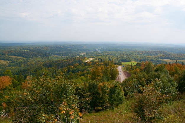 Autumn forest and clouds from a bird's eye view.selective focus