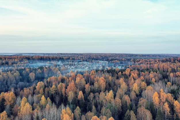 autumn forest landscape, view from a drone, aerial photography viewed from above in October park