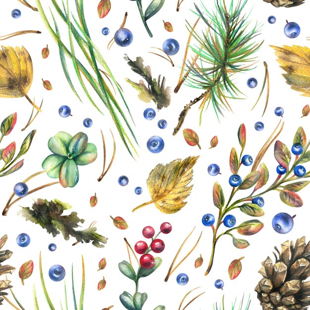 Autumn forest plants blueberries lingonberries cones leaves pine needles moss and grass Watercolor illustration hand drawn Seamless pattern on a white background