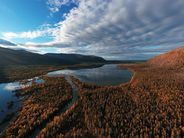 autumn forest taiga view from drone, yellow trees landscape nature fall