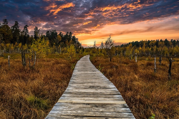 Autumn forest wooden trail path with a beautiful sunset