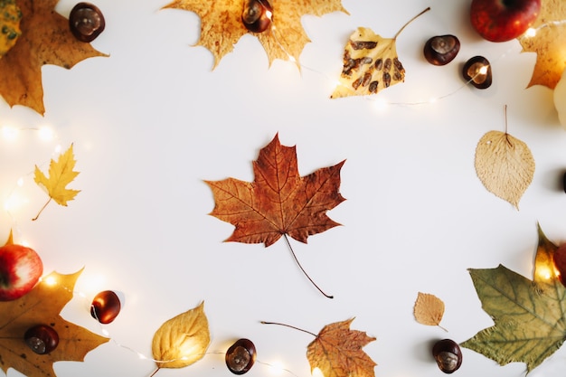 Autumn frame and  fall texture with leaves Halloween Thanksgiving day background