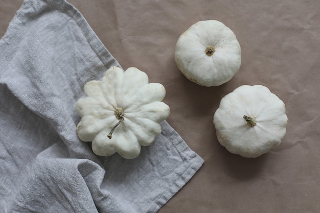 Autumn frame made of white pumpkins and squashes top view copy space fall halloween thanksgiving con...