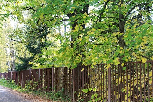 Autumn fun colors of autumn beautiful footpath with a fence in the city botanical garden