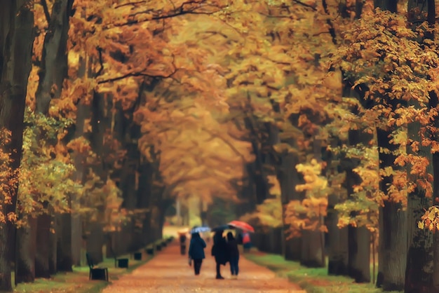 autumn in germany / city park in europe, germany autumn landscape