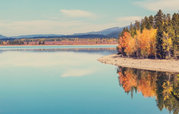 Autumn in Grand Teton