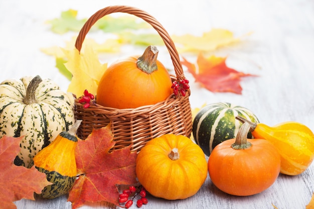 Autumn halloween decorative pumpkins in basket