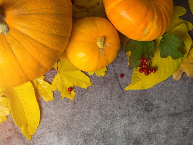 Autumn halloween pumpkins on wooden background