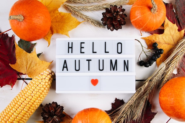 Autumn and harvest concept Ripe pumpkins corn and wheat on white background