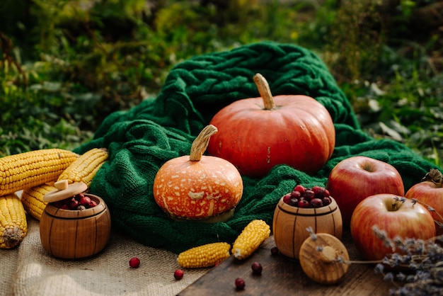 Autumn harvest corn apples lavender large orange pumpkin on a green knitted scarf 1