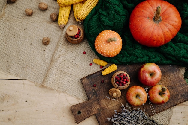 Autumn harvest corn apples lavender large orange pumpkin nuts red berries on a green knitted scarf 1