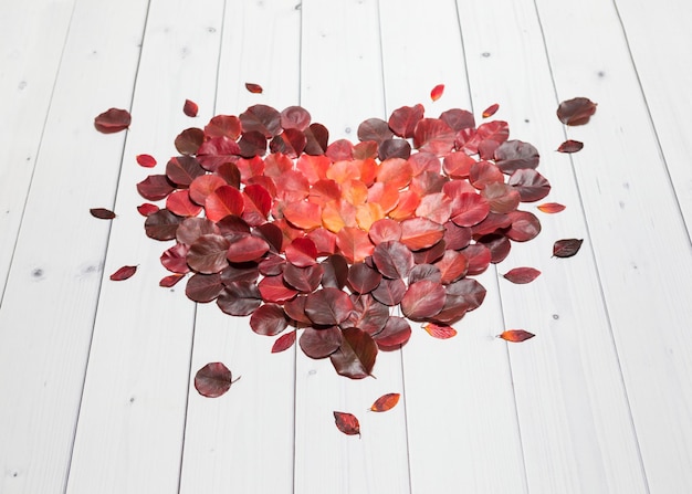 Autumn heart from bright red vinous and orange leaves white wooden background flat perspective view