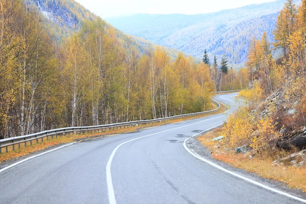 autumn highway view, freedom travel landscape