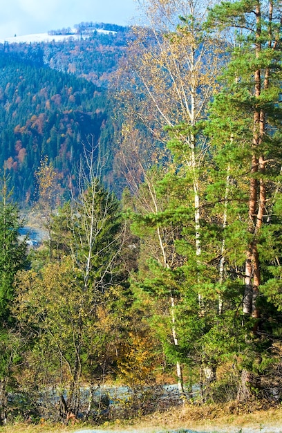 Autumn hoarfrost on mountain village outskirts glade